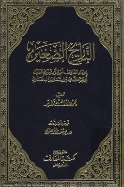 التاريخ الصغير ج ٢