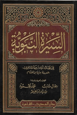 سيرة النبي صلى الله عليه وسلم - ابن هشام - ج ٤