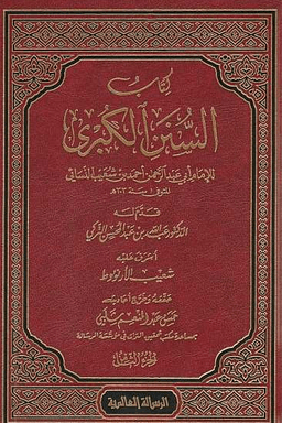 السنن الكبرى للنسائي ت: الارنؤوط - ج ١١