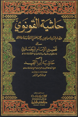 حاشية القونوي على تفسير الإمام البيضاوي ج ٨