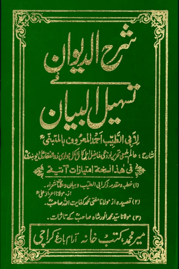 شرح الديوان