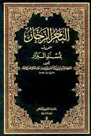 الـبـحـر الـزخـار الـمـعـروف بـمـسـنـد الـبـزار ج ١٣