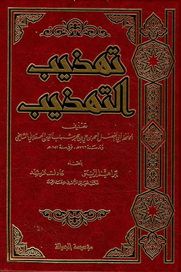 تهذيب التهذيب لابن حجر العسقلاني ١