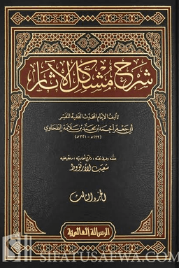 شرح مشكل الآثار ج ٦
