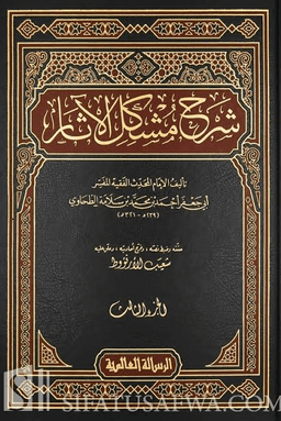 شرح مشكل الآثار ج ١٤
