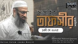 সাপ্তাহিক তাফসীর ১৪ মে ২০২৫ || সুরাতু নামল ৬  |  Habibullah Mahmud Quasemi হাবিবুল্লাহ মাহমুদ কাসেমী